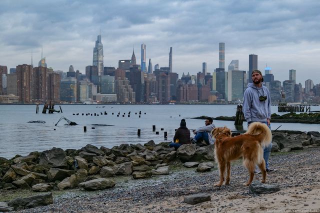 A photo of a dog at lower Manhattan